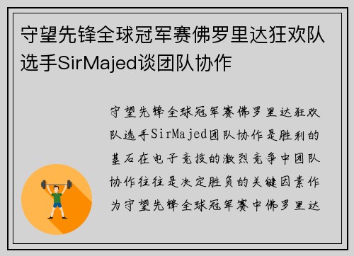 守望先锋全球冠军赛佛罗里达狂欢队选手SirMajed谈团队协作
